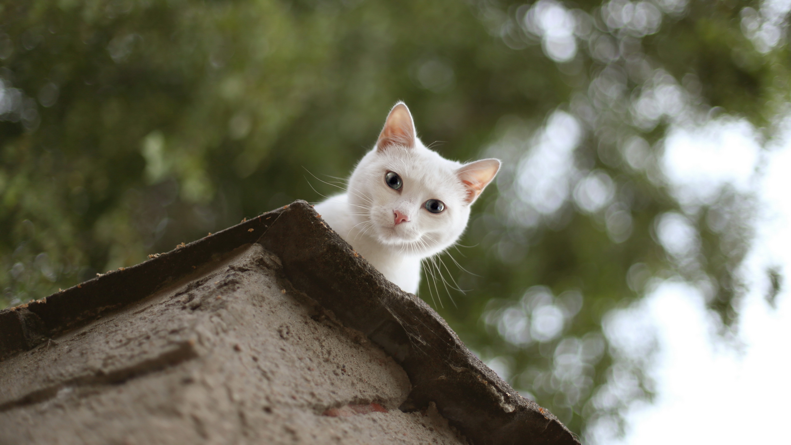 Какой процесс держит порт